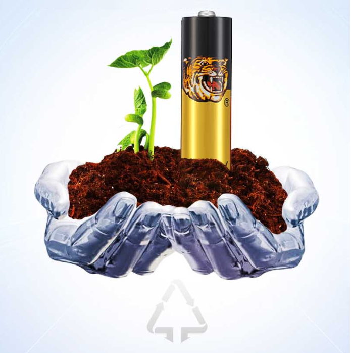 Piles alcalines écologiques : un avenir plus vert