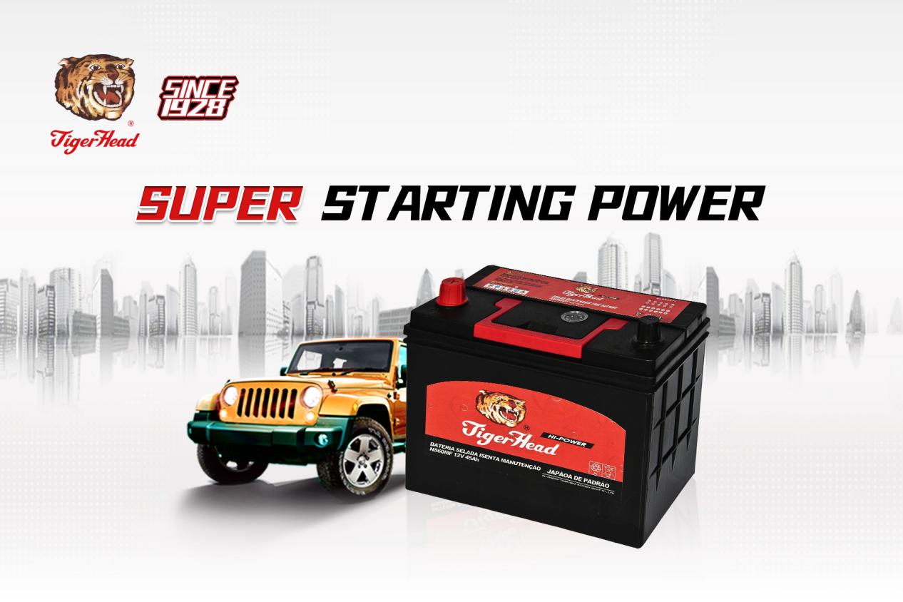 Batteries de voiture Tigerhead