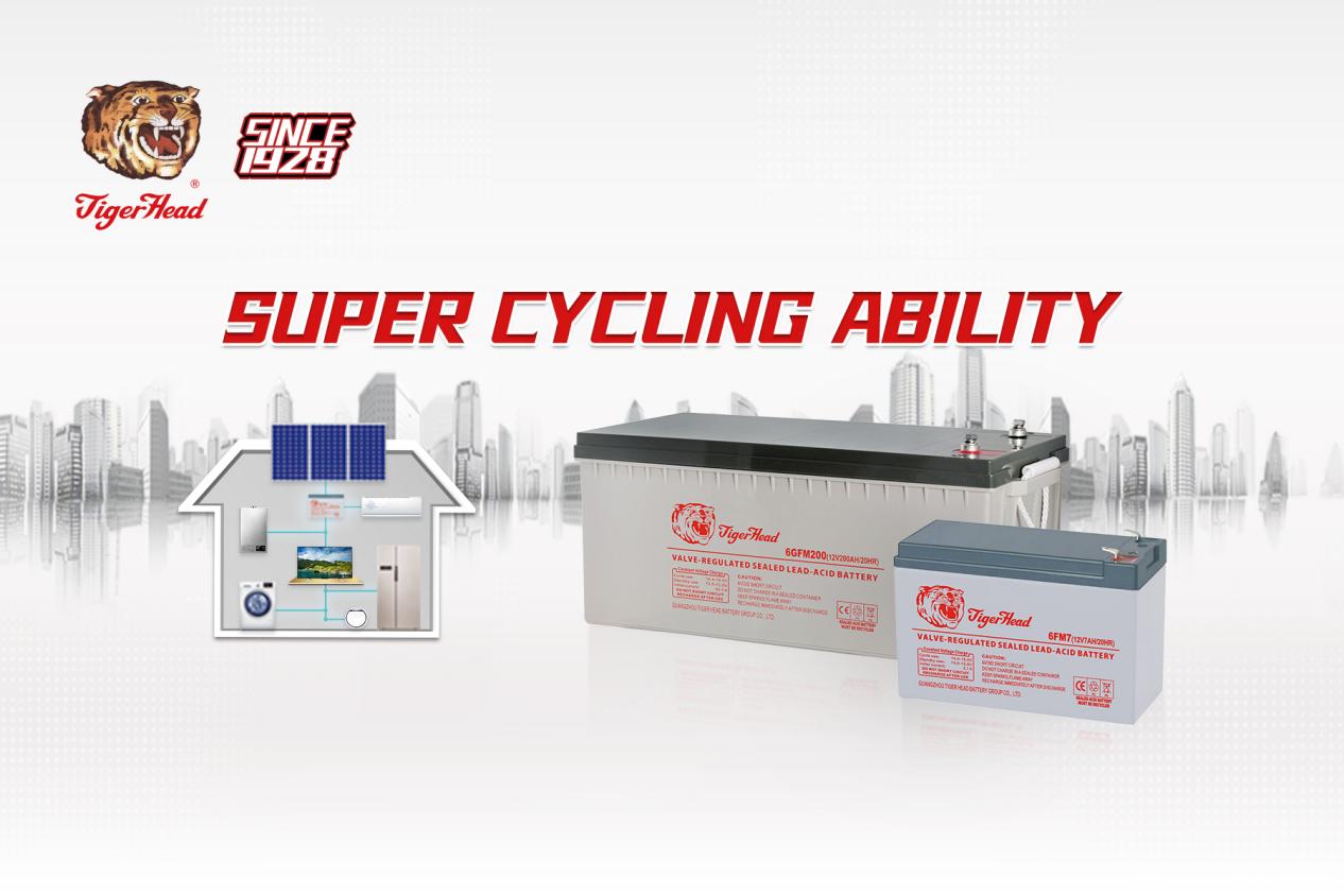 batterie solaire - tête de tigre