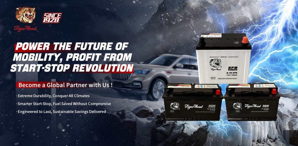 Batteries AGM EFB Start-Stop - T&ecirc;te de tigre